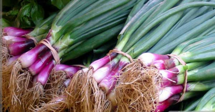 بذر پیاز خارجی قرمز(بسته 10 گرمی)