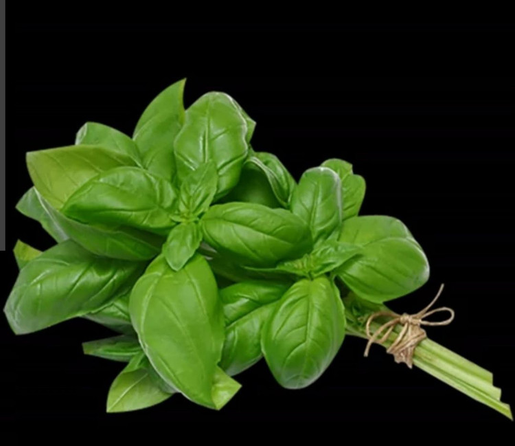 بذر ریحان سبز (بسته 20 گرمی خانگی)