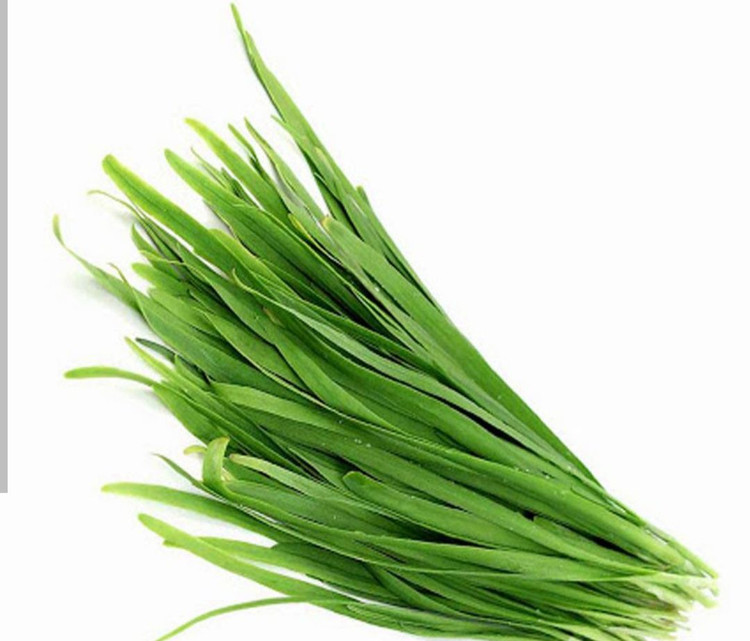 بذر سبزی تره شادگان درجه یک و عالی(بسته خانگی گرمی)