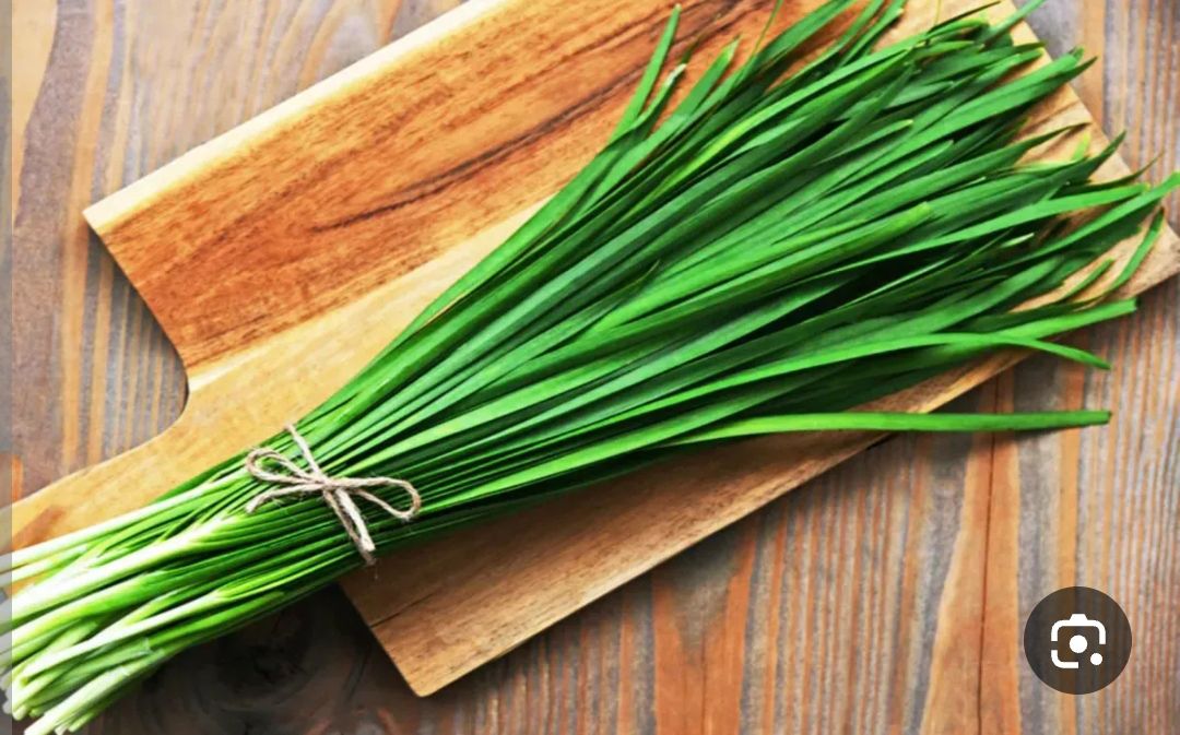 بذر سبزی تره شادگان درجه یک و عالی(بسته خانگی  گرمی)