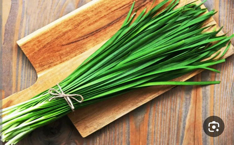 بذر سبزی تره شادگان درجه یک و عالی(بسته خانگی گرمی)
