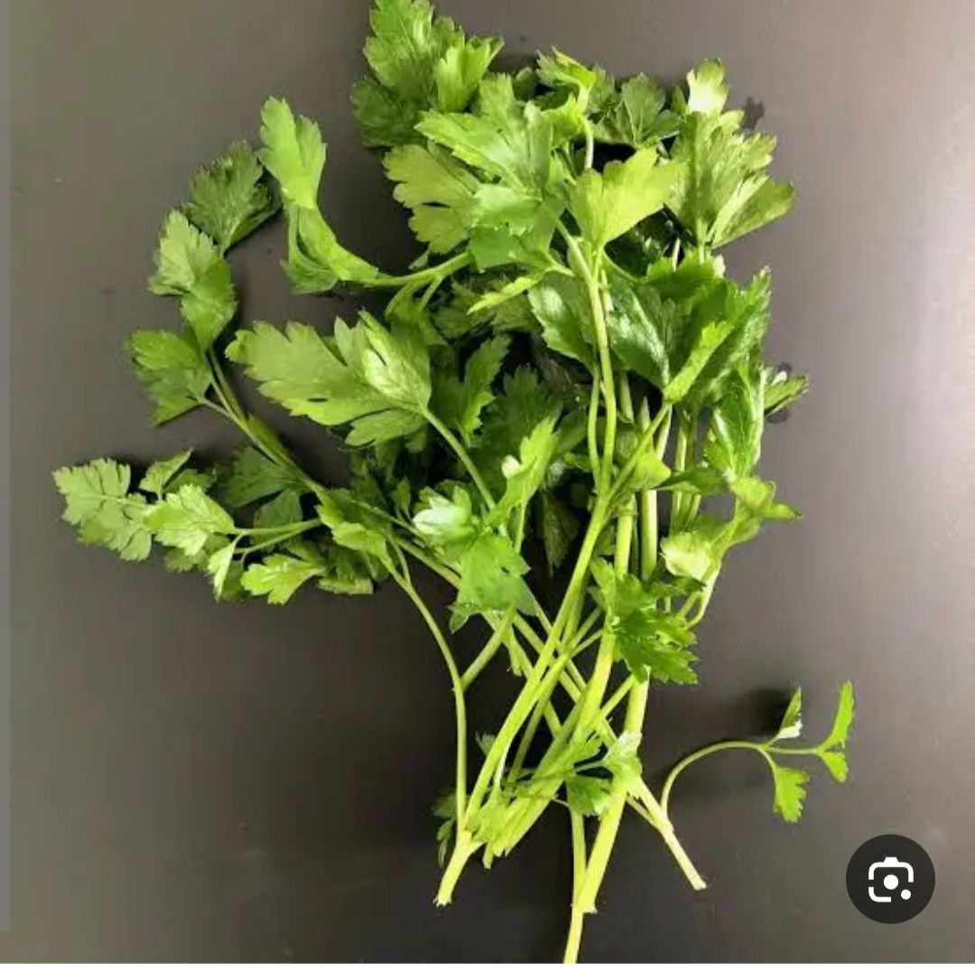 بذر سبزی جعفری عطری درجه یک و عالی (بسته خانگی 20 گرمی )