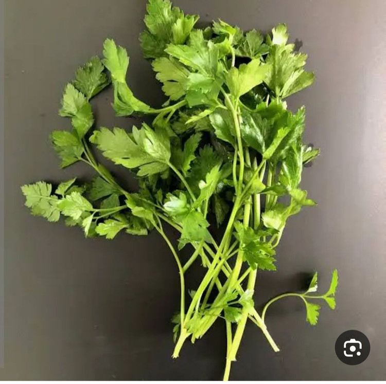 بذر سبزی جعفری عطری درجه یک و عالی (بسته خانگی 20 گرمی )