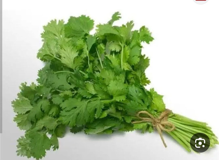 بذر سبزی جعفری عطری درجه یک و عالی (بسته خانگی 20 گرمی )