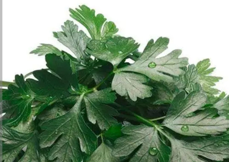 بذر سبزی جعفری عطری درجه یک و عالی (بسته خانگی 20 گرمی )