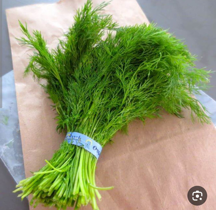 بذر سبزی تازه شوید درجه یک و عالی (بسته خانگی 20 گرمی)