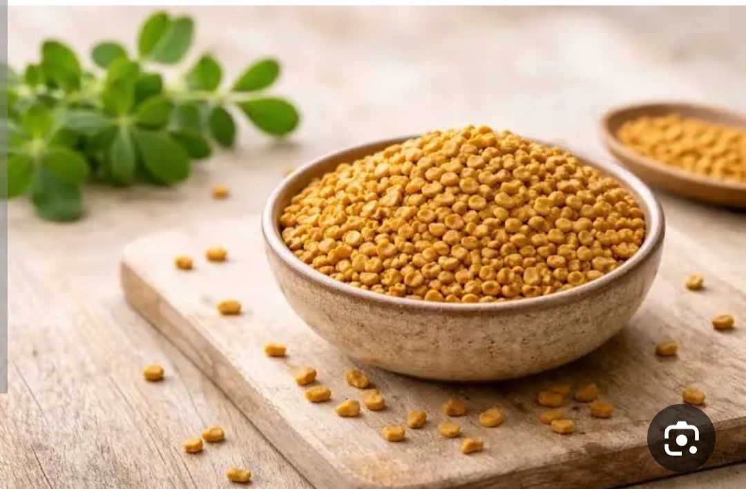 بذر سبزی شنبلیله اردستانی درجه یک و عالی (بسته بندی خانگی 25 گرمی)