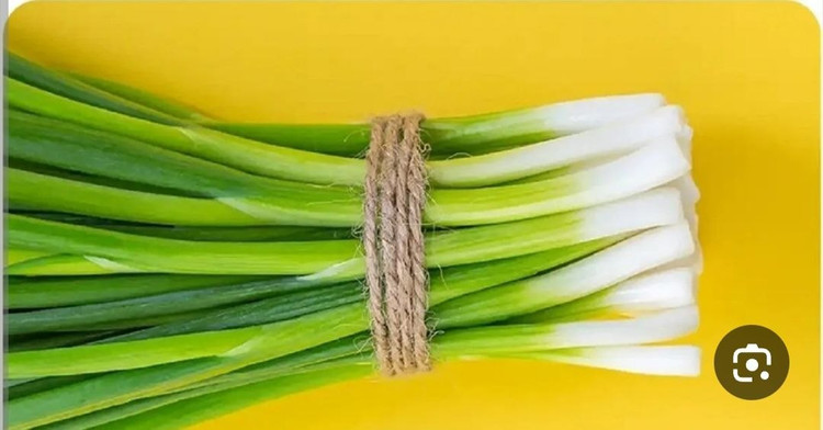 بذر سبزی تازه پیازچه اردستانی(بسته خانگی 20 گرمی)