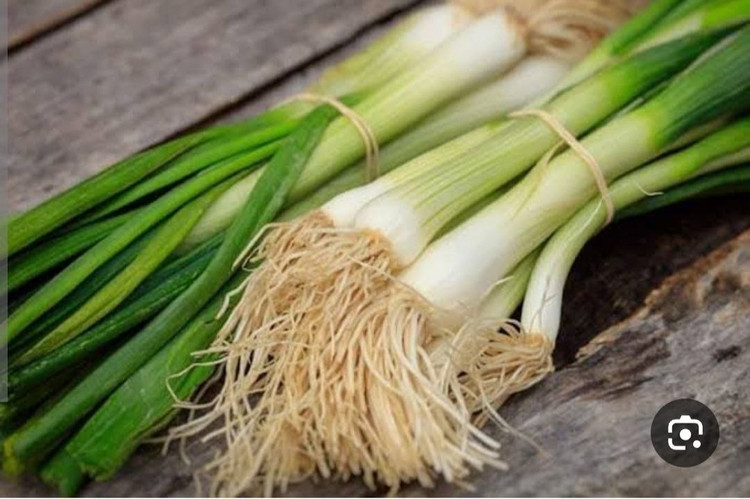 بذر سبزی تازه پیازچه اردستانی(بسته خانگی 20 گرمی)