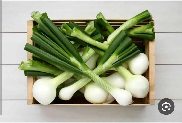 بذر سبزی تازه پیازچه اردستانی(بسته خانگی 20 گرمی)