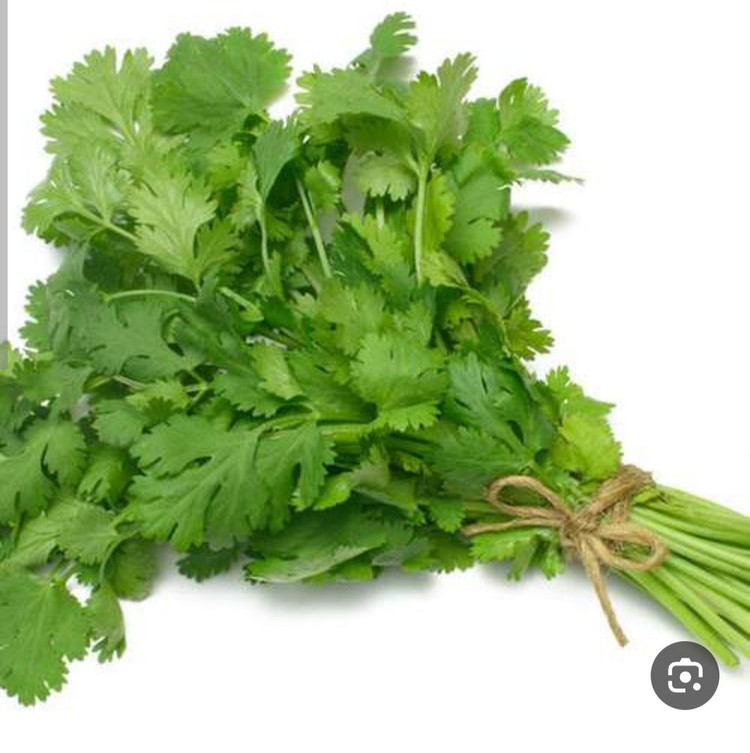 بذر سبزی تازه گشنیز درجه یک و عالی (بسته بندی خانگی 20 گرمی)