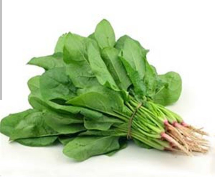 بذر سبزی اسفناج هلندی درجه یک و عالی(بسته خانگی 20 گرمی)