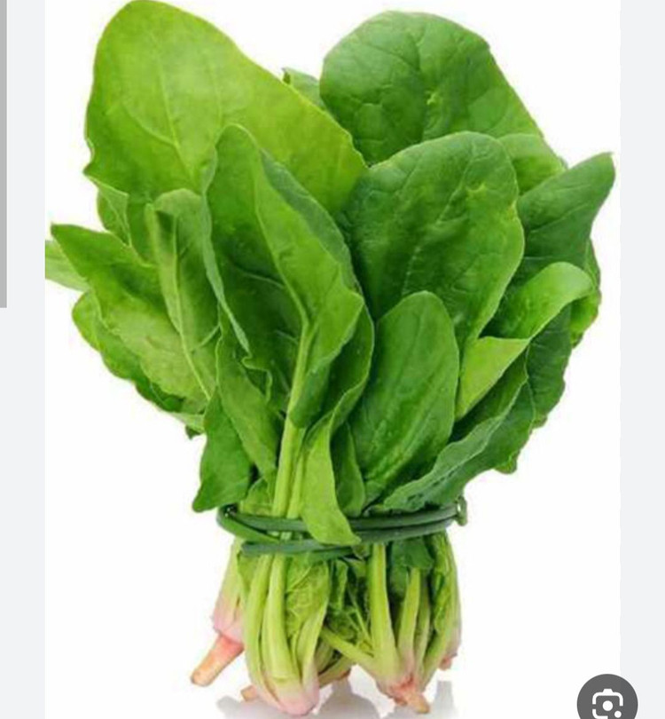 بذر سبزی اسفناج هلندی درجه یک و عالی(بسته خانگی 20 گرمی)
