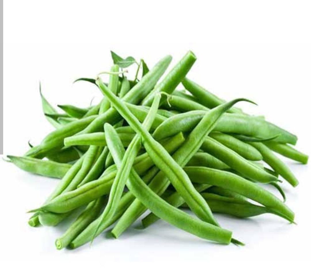 بذر لوبیا سبز درجه یک و عالی(بسته خانگی 20 گرمی)