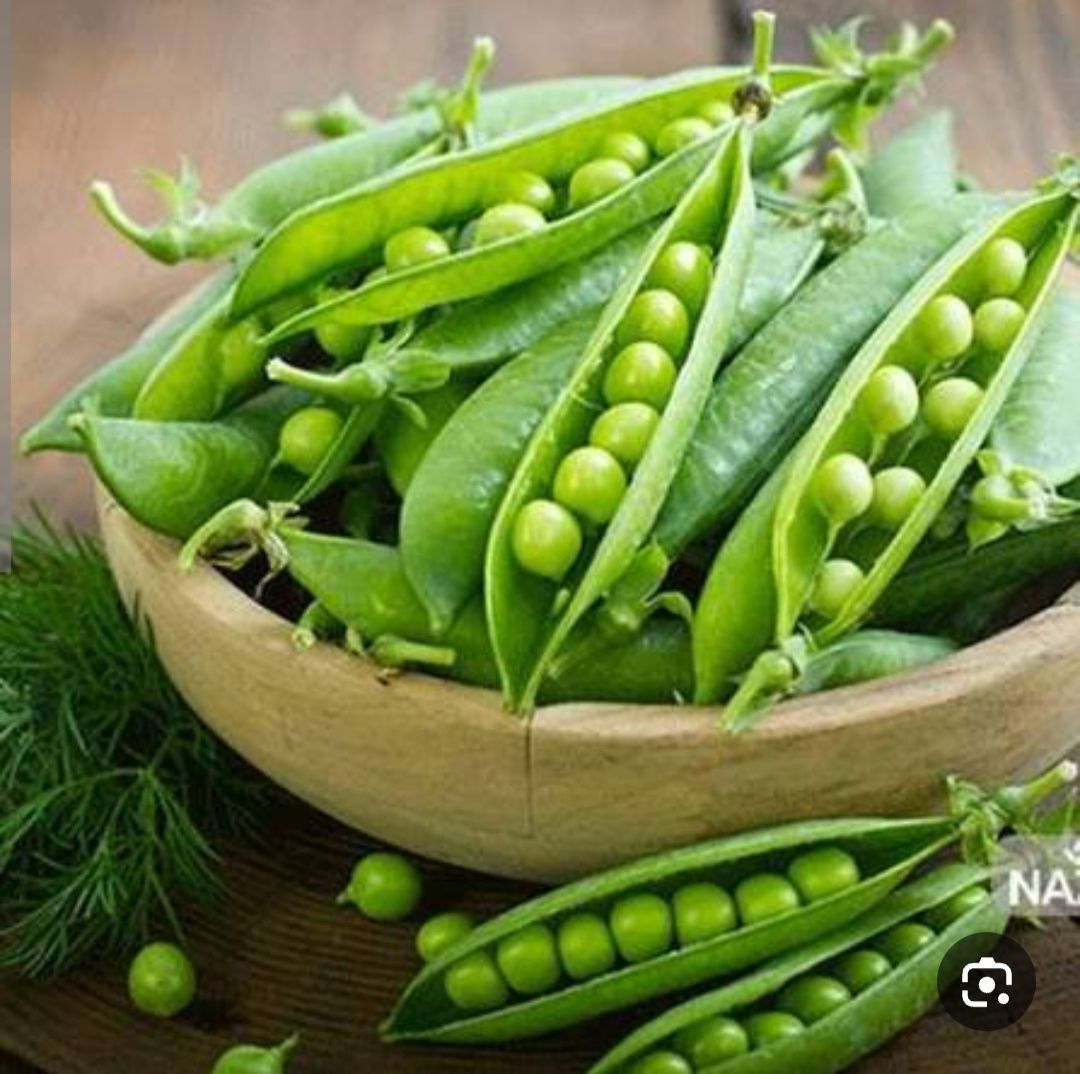 بذر نخود فرنگی پفکی ثمین درجه یک و عالی(بسته خانگی 20 گرمی)