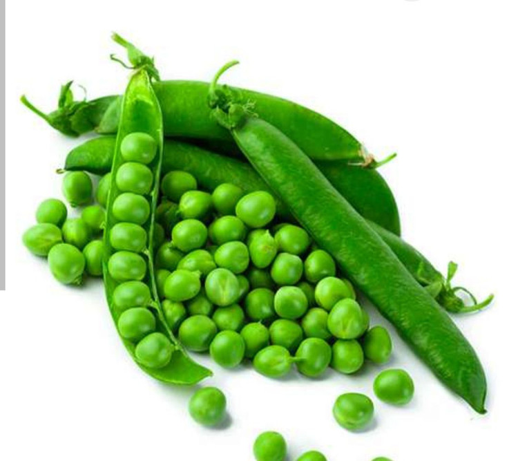 بذر نخود فرنگی پفکی ثمین (بسته خانگی 20 گرمی)