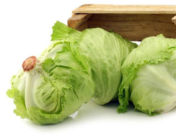 پکیج کامل بذر کاهو و کلم در ۷ مدل متفاوت