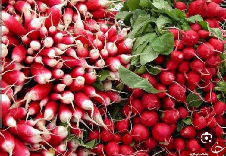 پکیج اقتصادی ۵ بذر محصولات غده ای کاشت پاییزه شامل؛ ترب،ترب سیاه،شلغم،هویج،تربچه دورنگ