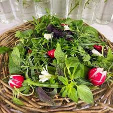 پکیج ۹ رقم بذر سبزی خوردن