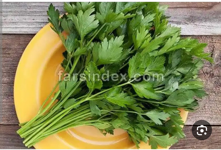 پکیج اقتصادی بذر سبزی تازه قرمه سبزی