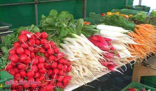 پکیج بذر محصولات غده‌ای پاییزه | ۶ رقم هویج، ترب، شلغم و تربچه
