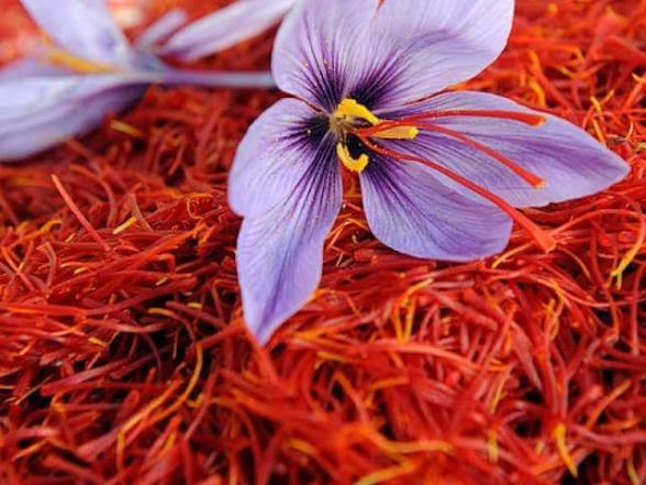 پیاز زعفران خوراکی ۵۰۰ گرمی