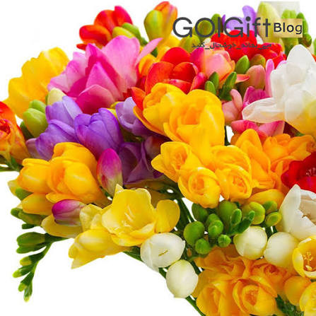 پکیج اقتصادی پیاز گلهای زینتی (۳۰ عددی)