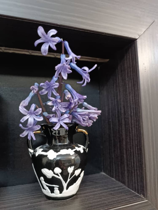 پیاز سنبل ایرانی معطر سوپر درشت (تک)